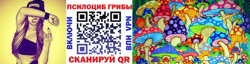 Псилоцибиновые грибы MAGIC MUSHROOMS  Купить где  Краснозаводск 